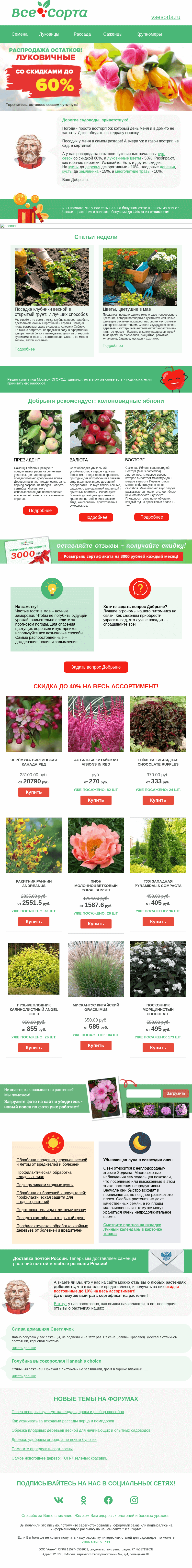Письмо компании «Все сорта» на тему «🍓 Друг, распродажа остатков!»