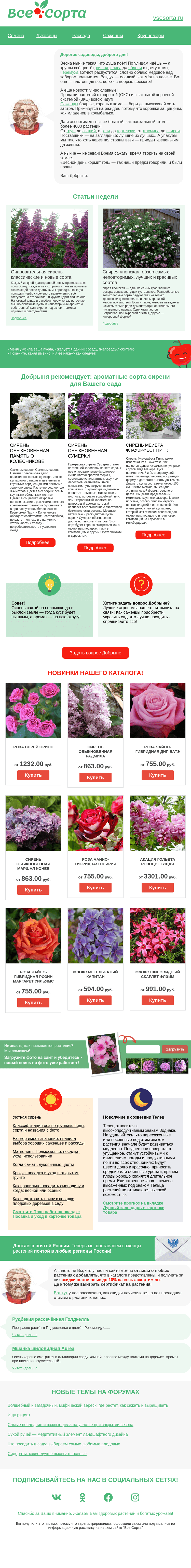 Письмо компании «Все сорта» на тему «🌸Друг, вишня цветёт, яблони распускаются — а у нас более 4000 саженцев к посадке!»
