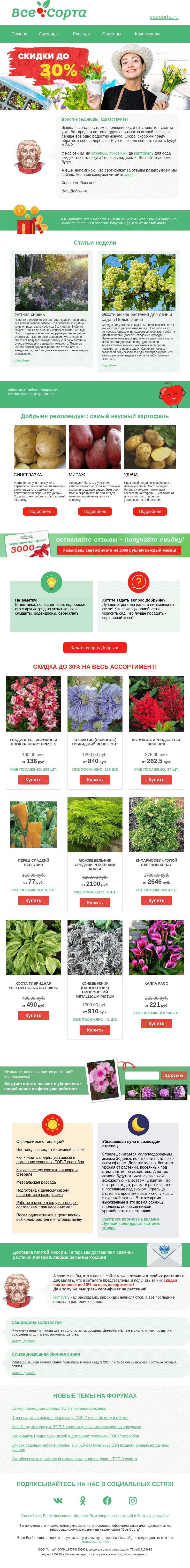 Письмо компании «Все сорта» на тему «🌱 Друг, готовимся к сезону»