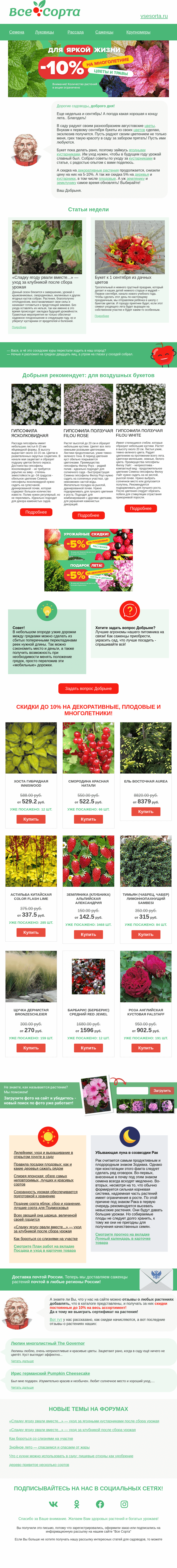 Письмо компании «Все сорта» на тему «💐 Друг, к первому сентября!»