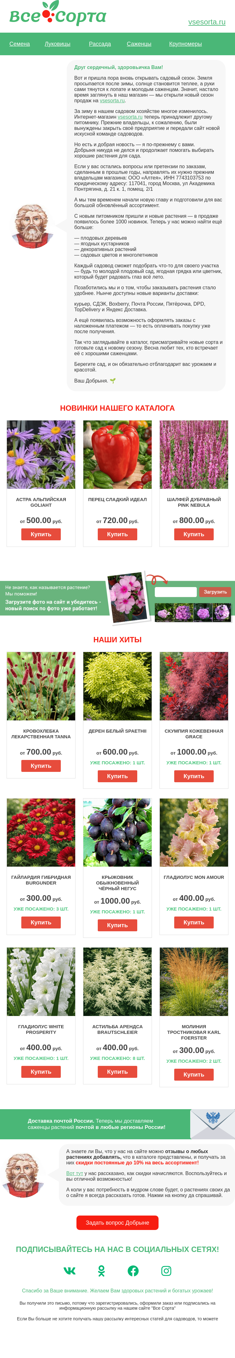 Письмо компании «Все сорта» на тему «🌱 Друг, открываем продажу растений!»