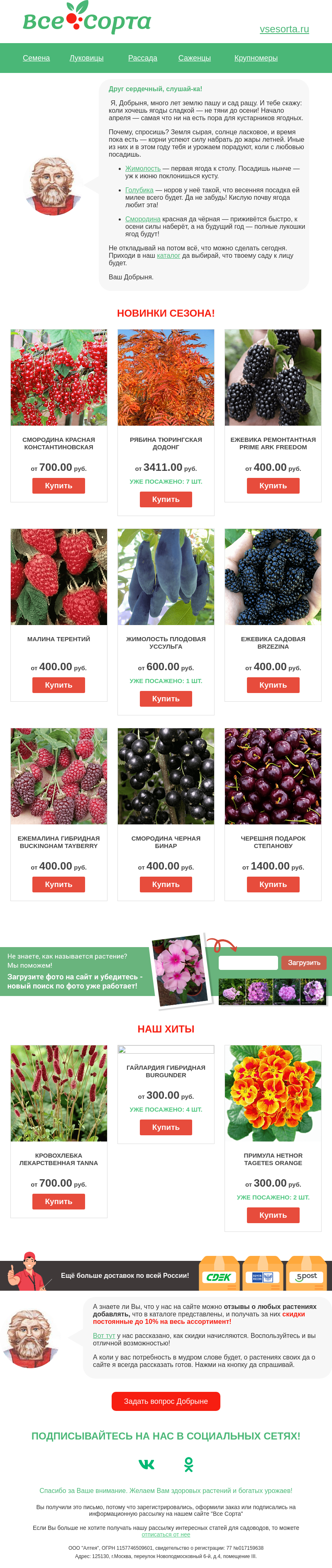 Письмо компании «Все сорта» на тему «🌿 Друг, посади смородину прямо сейчас!»