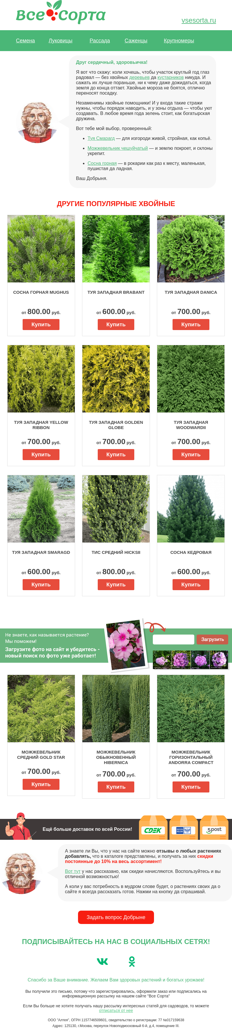 Письмо компании «Все сорта» на тему «🌲🌳 Друг, новый порядок 🌲»