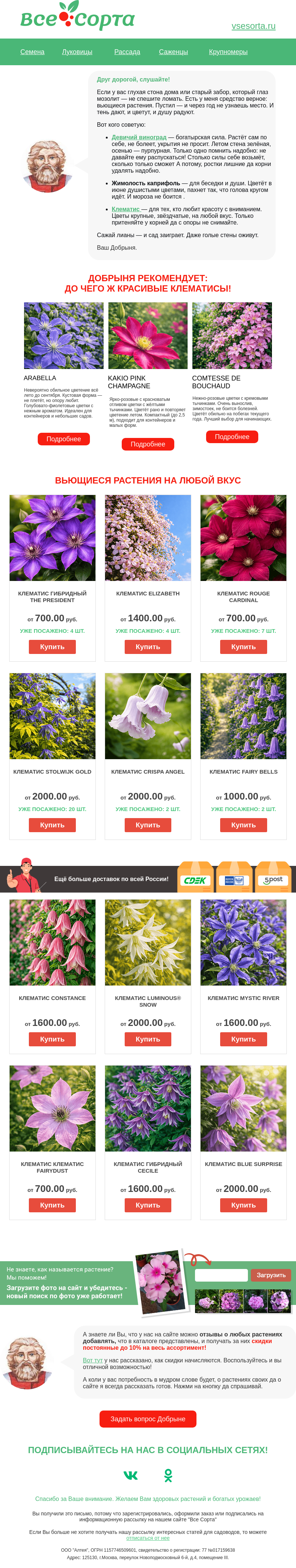 Письмо компании «Все сорта» на тему «🌺  Друг, чем так хороши лианы?»