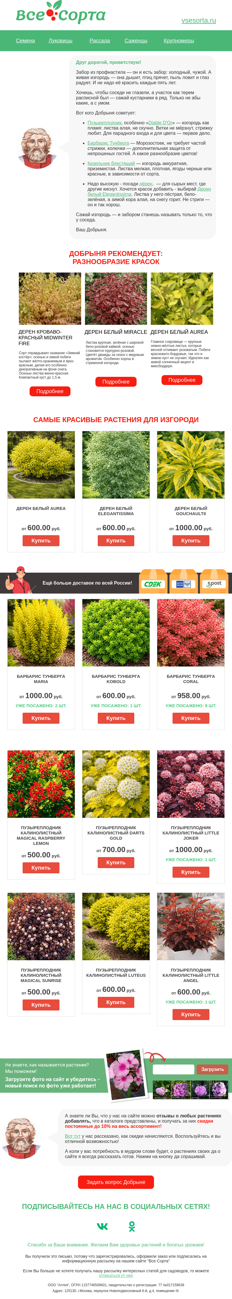 Письмо компании «Все сорта» на тему «🌿 Друг, не забор, а защита и красота!»