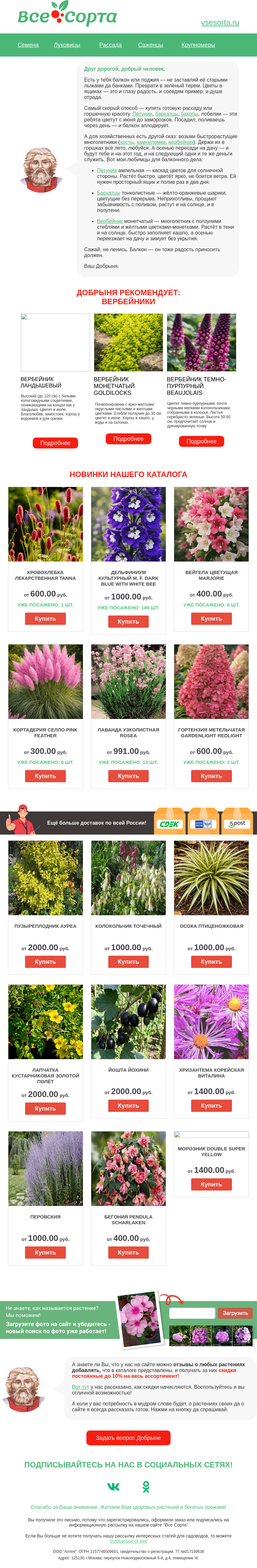 Письмо компании «Все сорта» на тему «🌻🌼 Друг, балкон — не чулан, разбей там райский сад!»