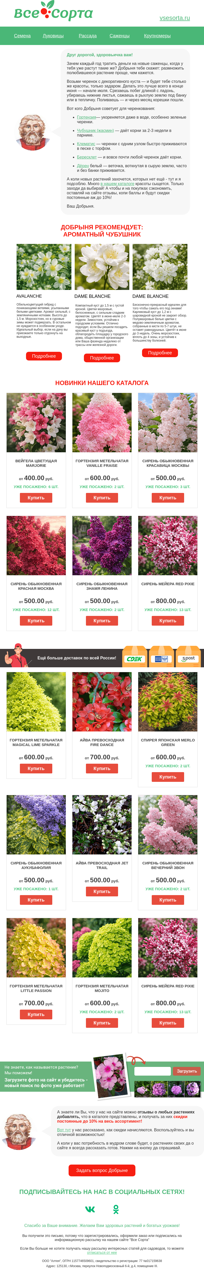 Письмо компании «Все сорта» на тему «🌱 Друг, хотите свои растения бесплатно?»