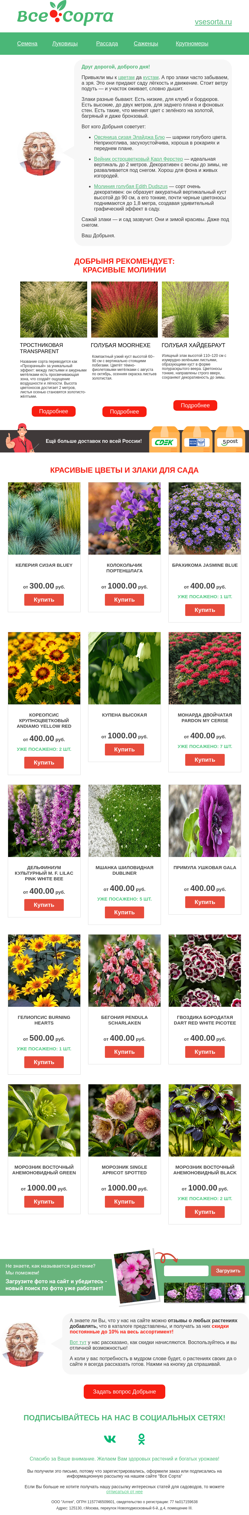 Письмо компании «Все сорта» на тему «🌾 Друг, злаки - живые картины в саду»
