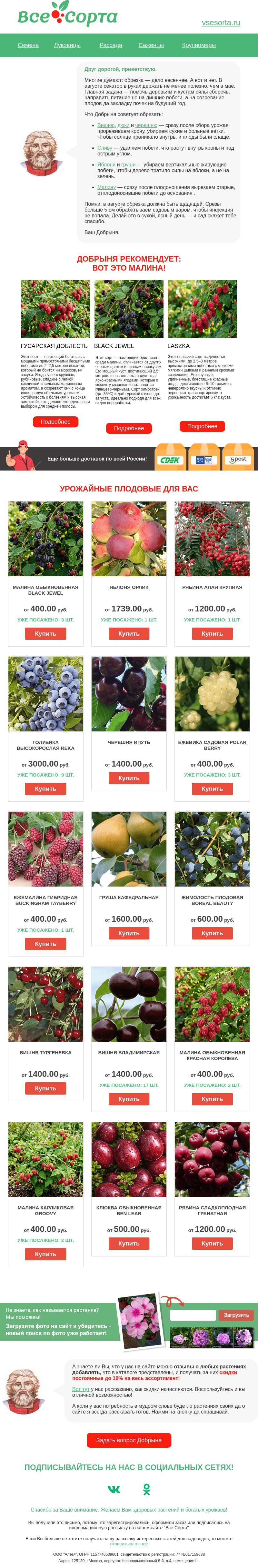 Письмо компании «Все сорта» на тему «🍎 Друг, обрезка в августе - богатый урожай! 🍒»