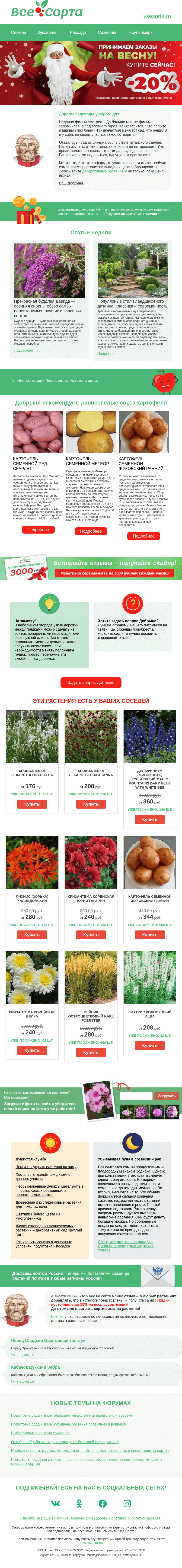 Письмо компании «Все сорта» на тему «💫 Друг, что делать зимой? Строить планы!»