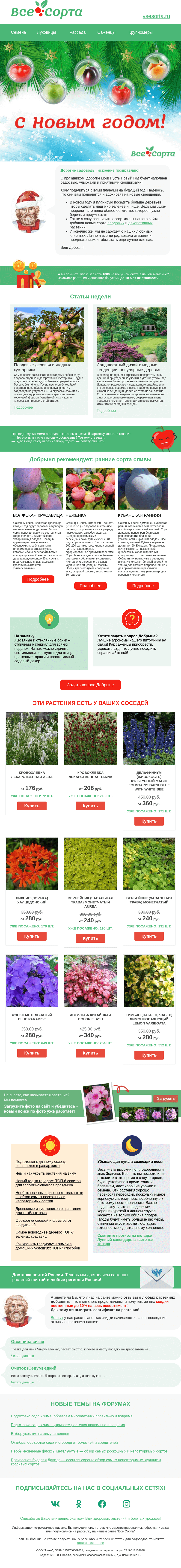 Письмо компании «Все сорта» на тему «🐉 Друг, с Новым Годом! 🎁»