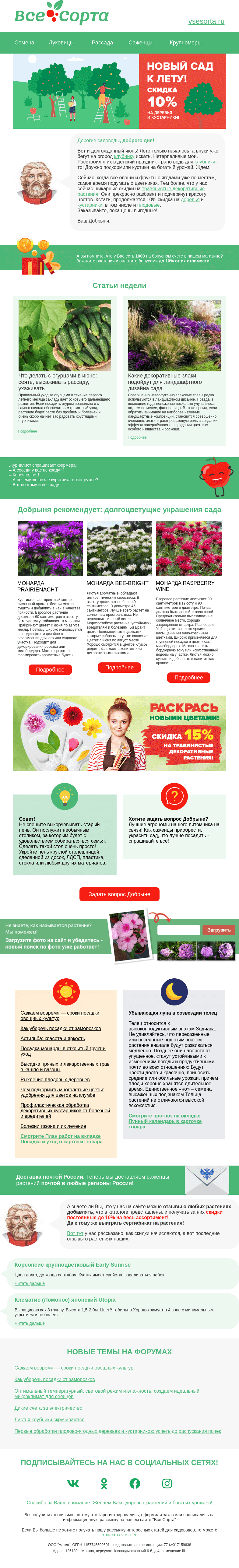 Письмо компании «Все сорта» на тему «🌻 Друг, вот и лето!»