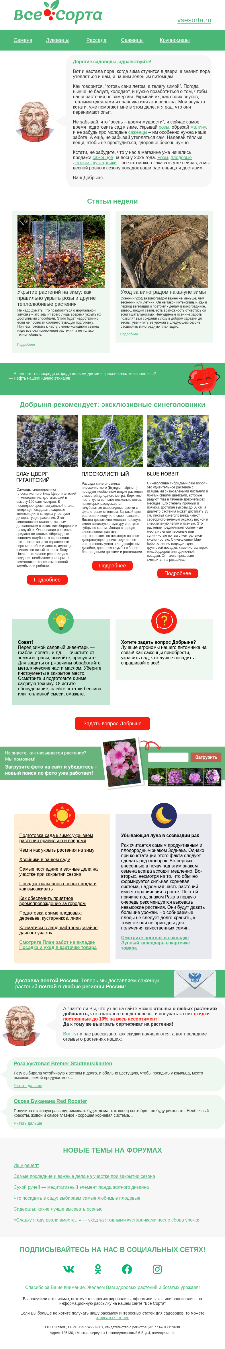 Письмо компании «Все сорта» на тему «🧣 Друг, утепляемся!»