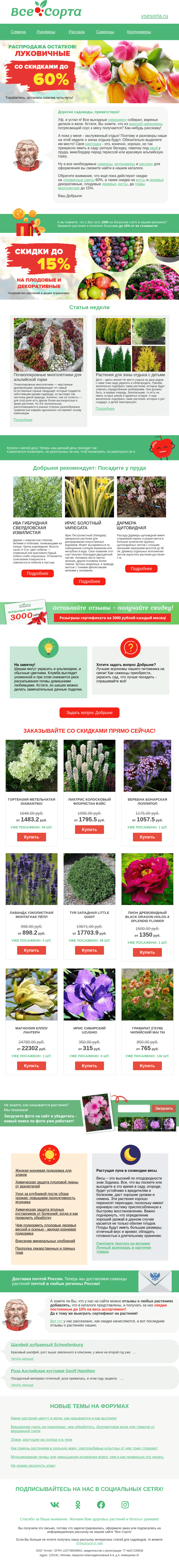 Письмо компании «Все сорта» на тему «🌄 Друг, создаём красивый рокарий»