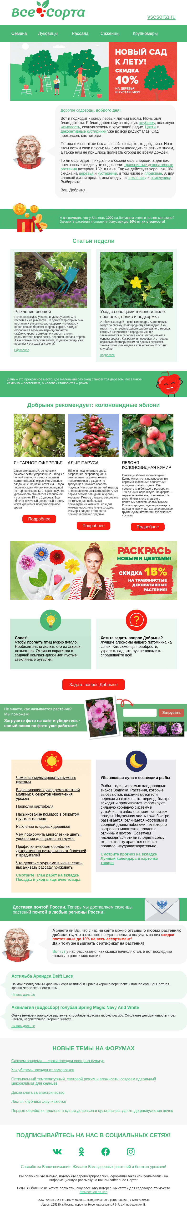 Письмо компании «Все сорта» на тему «😍 Друг, вкусное лето»