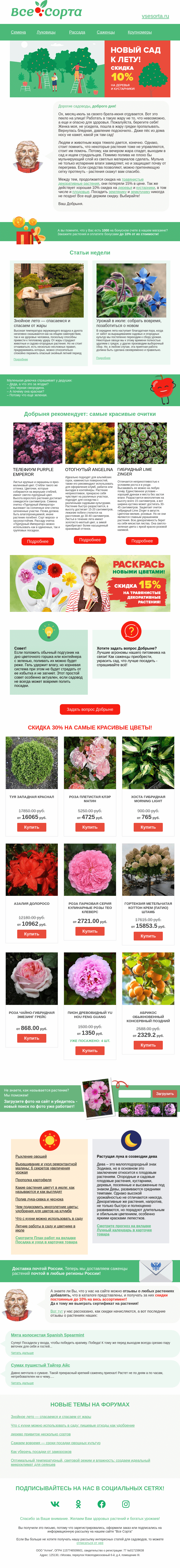 Письмо компании «Все сорта» на тему «☀️ Друг, защищайтесь, сударь!»
