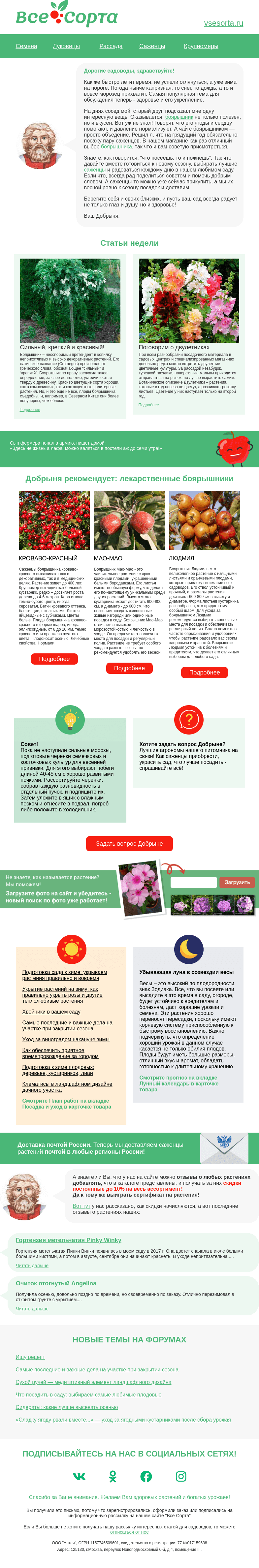 Письмо компании «Все сорта» на тему «🧣 Друг, с заботой о здоровье!»