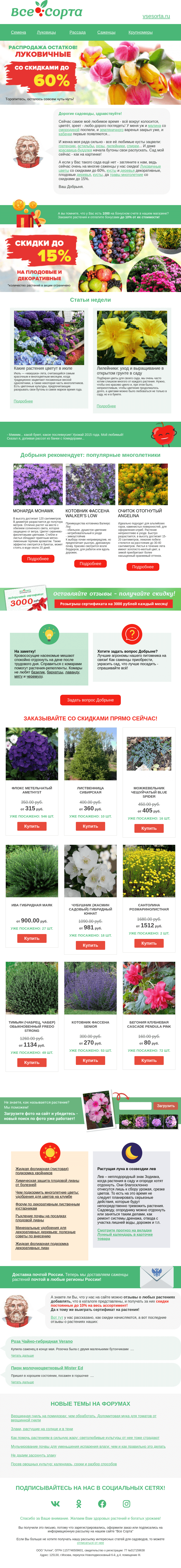 Письмо компании «Все сорта» на тему «🌞 Друг, что цветёт в июле?»
