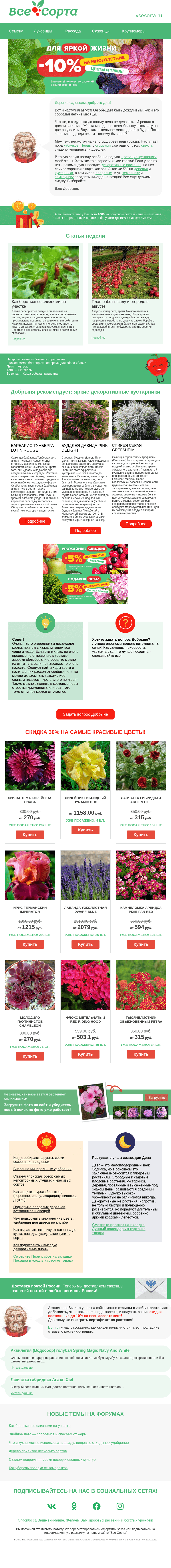 Письмо компании «Все сорта» на тему «🌤 Друг, Вот и август!»