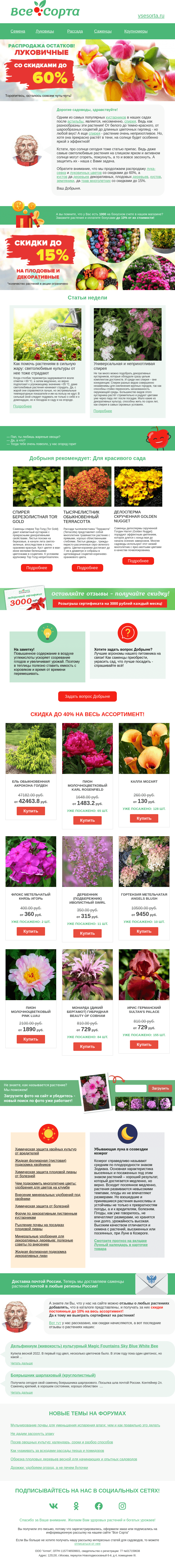 Письмо компании «Все сорта» на тему «🌻 Друг, защитим их от солнца»