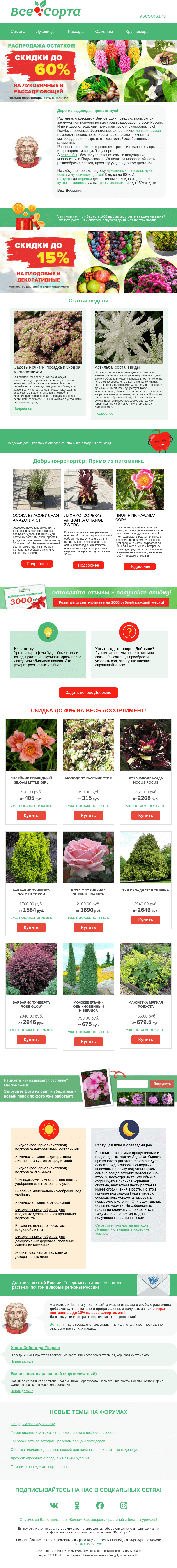 Письмо компании «Все сорта» на тему «🌸 Друг, красивые и популярные»