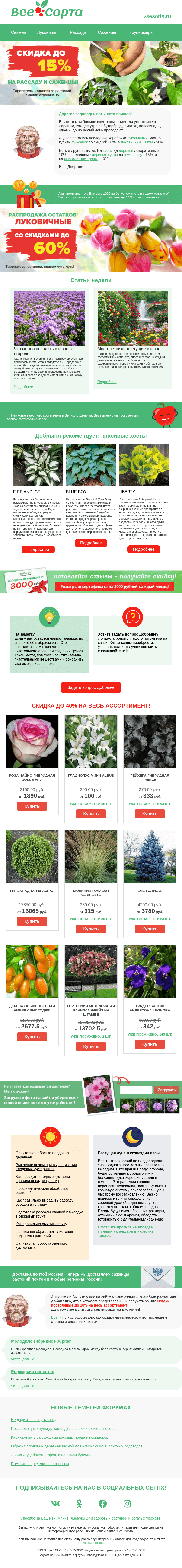 Письмо компании «Все сорта» на тему «🍓 Друг, а вот и лето!!!»