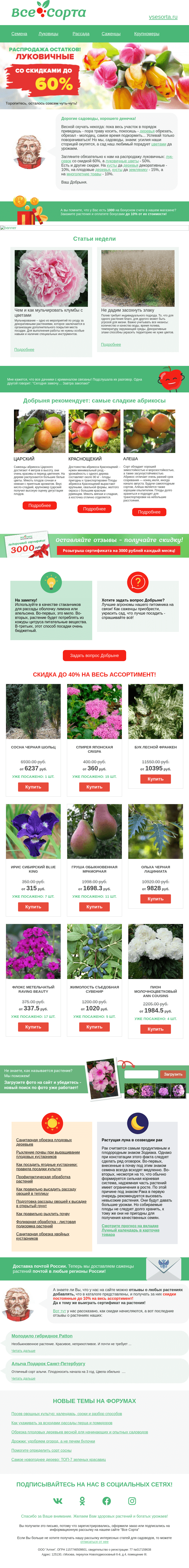 Письмо компании «Все сорта» на тему «🌷🌷 Друг, для идеальных клумб»