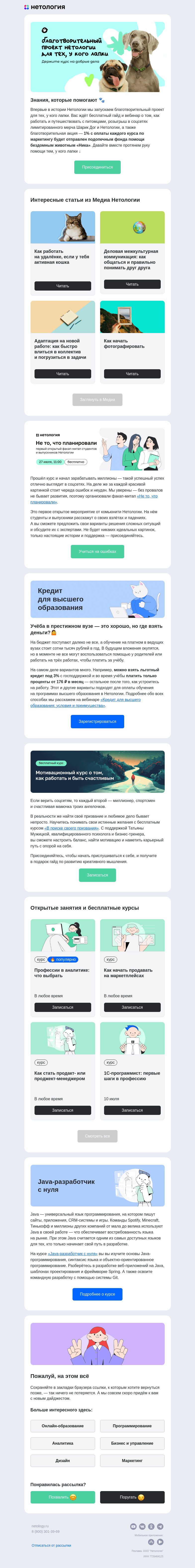 Письмо компании «Нетология» на тему «Благотворительный проект Нетологии, адаптация на работе, деловая коммуникация и навыки фотографирования»