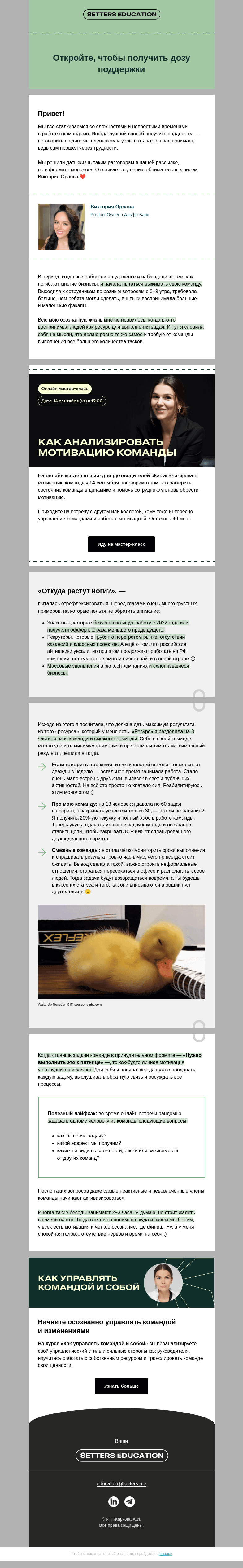 Письмо компании «SETTERS EDUCATION» на тему «Это — huggable письмо для руководителей»