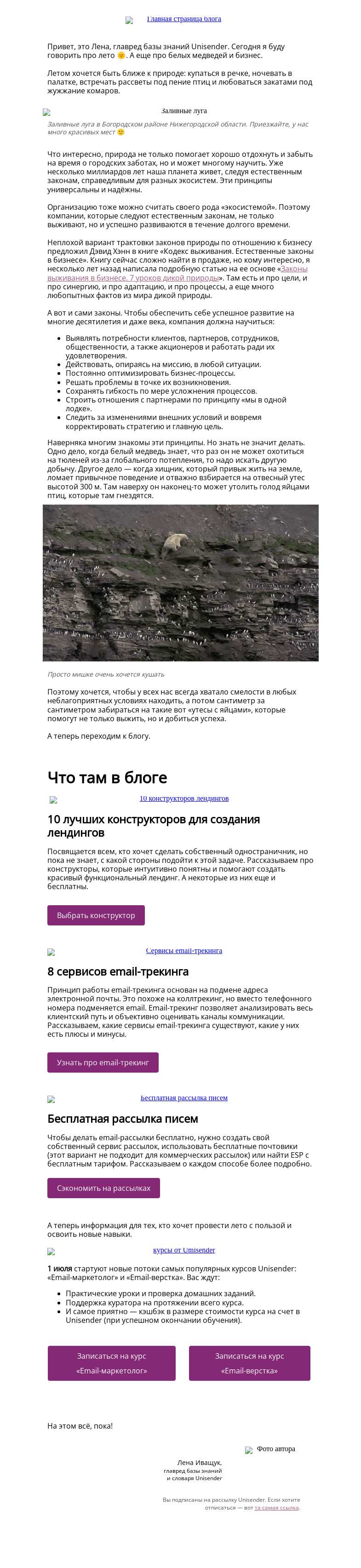 Письмо компании «Юнисендер» на тему «Хвостатая рассылка🐼»