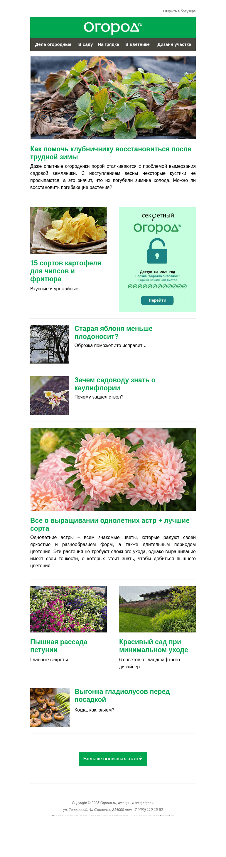 Письмо компании «Огород.ru» на тему «На Огород.ru: работы с клубничником и лучшие сорта астр»