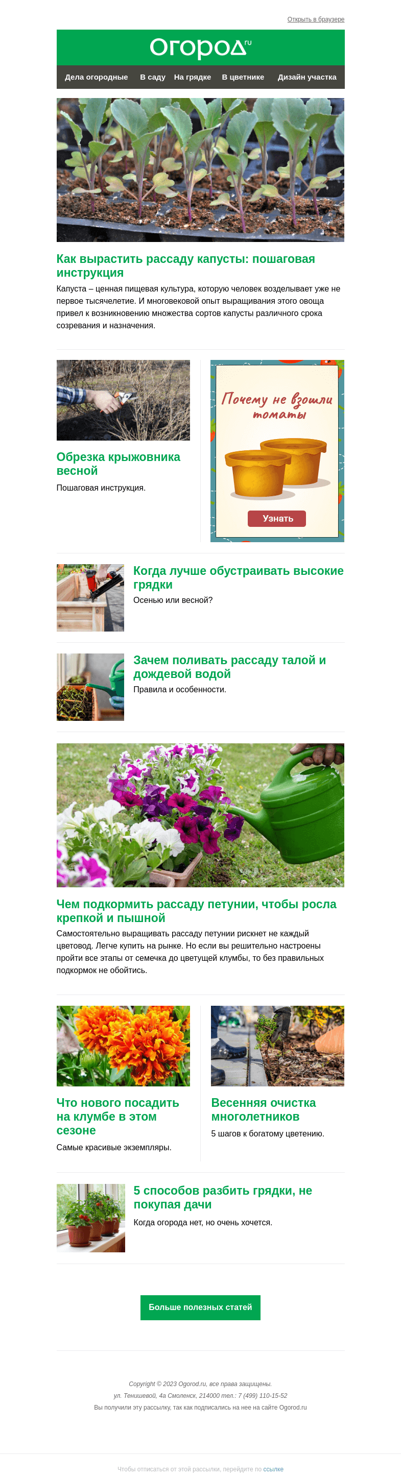 Письмо компании «Огород.ru» на тему «На Огород.ru: как вырастить рассаду капусты и чем подкормить всходы петунии»