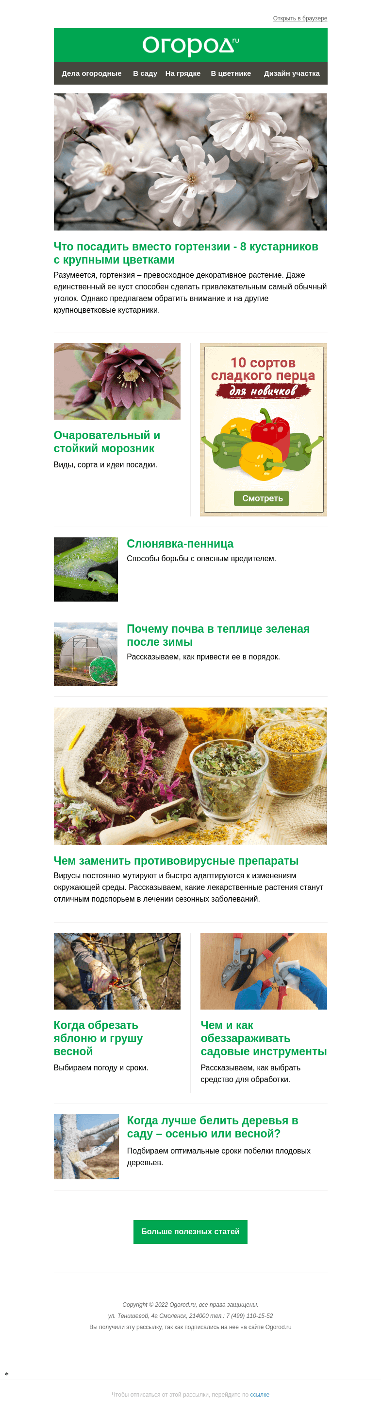 Письмо компании «Огород.ru» на тему «На Огород.ru: почему почва в теплице зеленая после зимы и что посадить вместо гортензии »