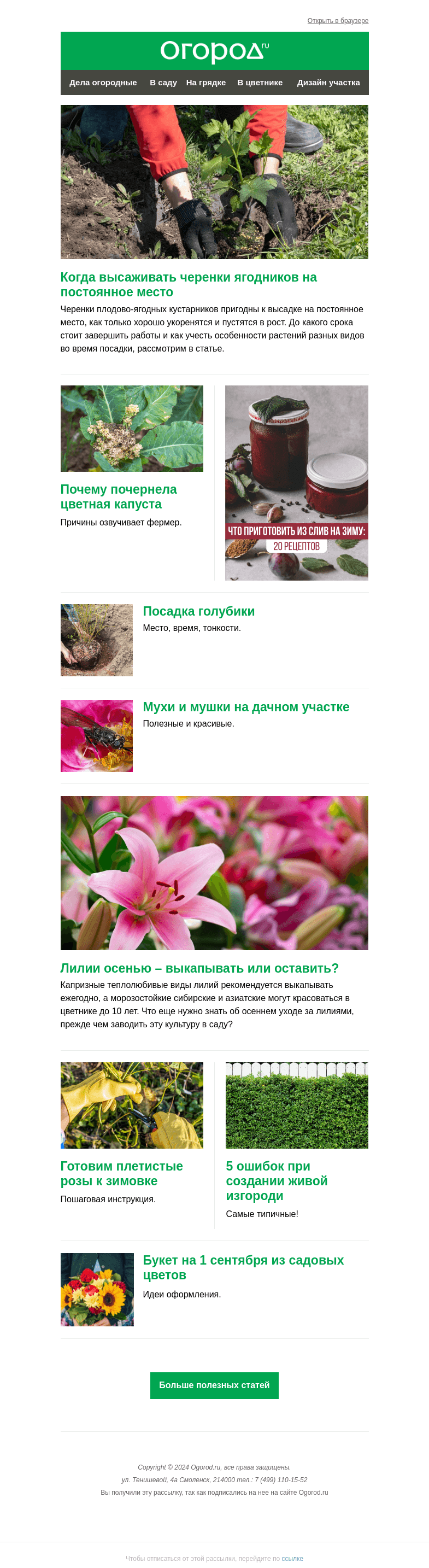 Письмо компании «Огород.ru» на тему «На Огород.ru: высаживаем черенки ягодников и составляем букет на 1 сентября»