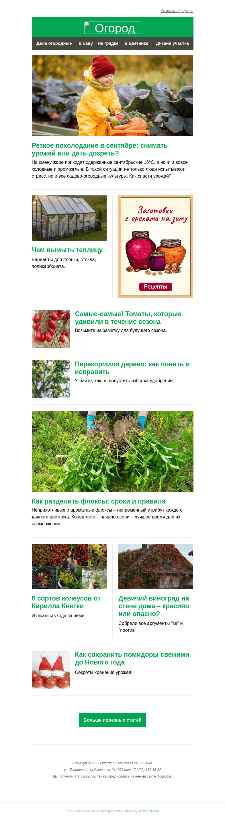 Письмо компании «Огород.ru» на тему «На Огород.ru: чем вымыть теплицу и как разделить флоксы осенью»