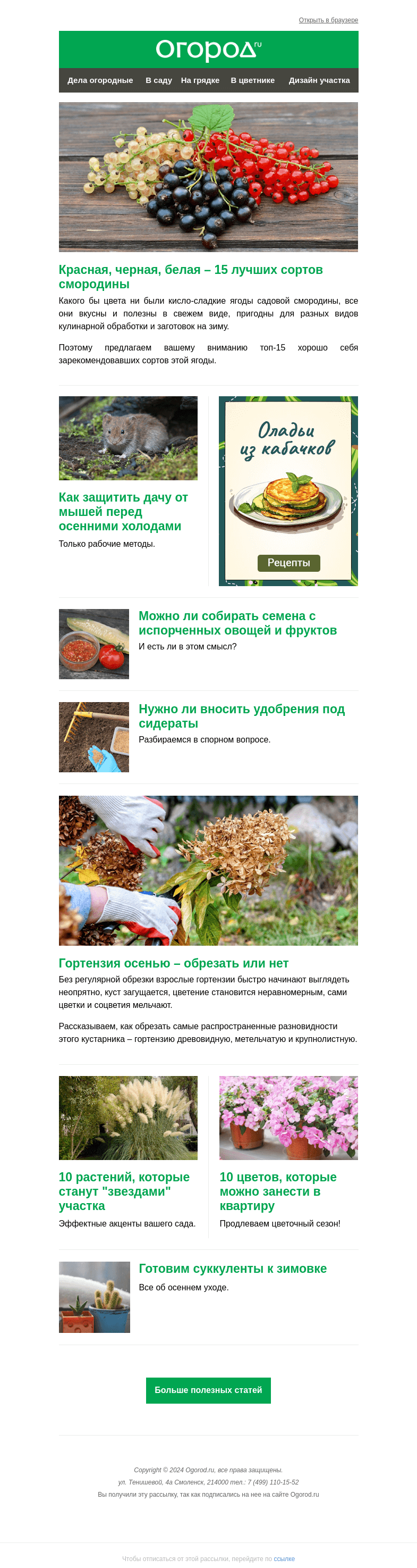 Письмо компании «Огород.ru» на тему «На Огород.ru: как защитить дачу от мышей и 15 лучших сортов смородины»