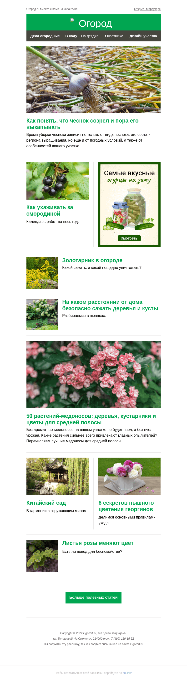 Письмо компании «Огород.ru» на тему «На Огород.ru: когда убирать чеснок и секреты ухода за смородиной»