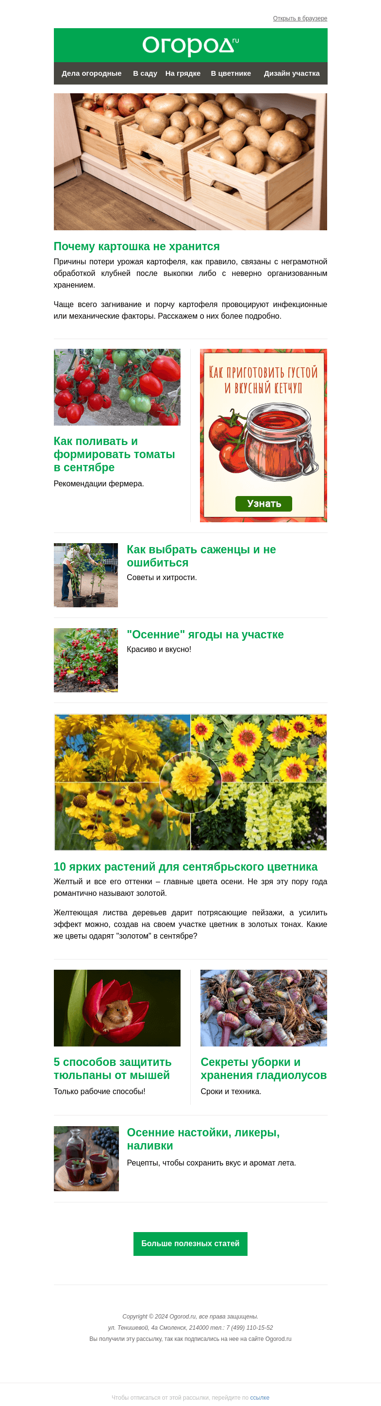 Письмо компании «Огород.ru» на тему «На Огород.ru: почему не хранится картошка и 10 растений для сентябрьского цветника»