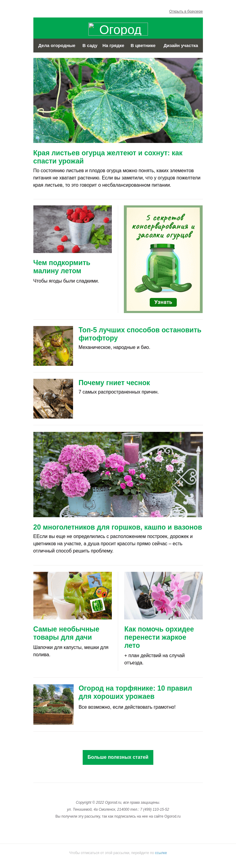 Письмо компании «Огород.ru» на тему «На Огород.ru: почему желтеют края листьев огурца и необычные товары для дачи»