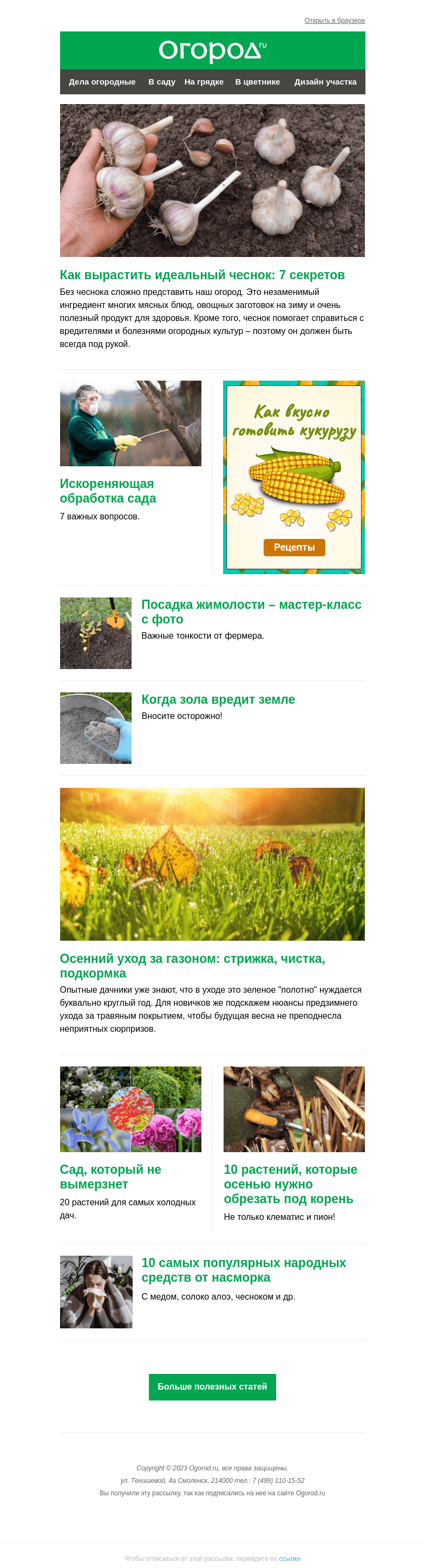 Письмо компании «Огород.ru» на тему «На Огород.ru: как вырастить идеальный чеснок и когда зола во вред»