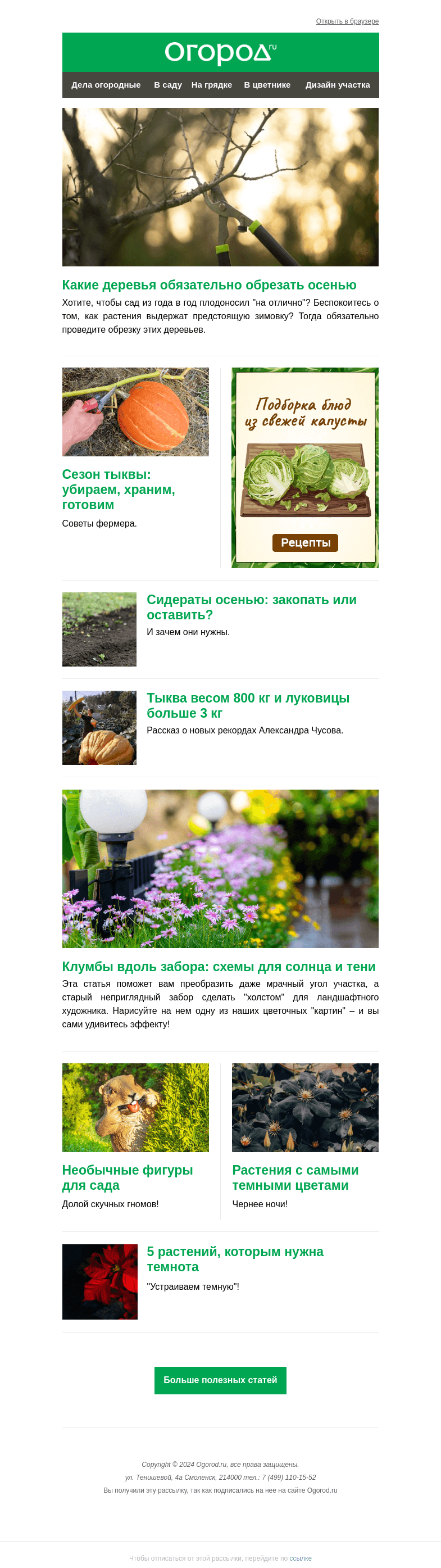 Письмо компании «Огород.ru» на тему «На Огород.ru: какие деревья обрезать осенью и схемы клумб у забора»