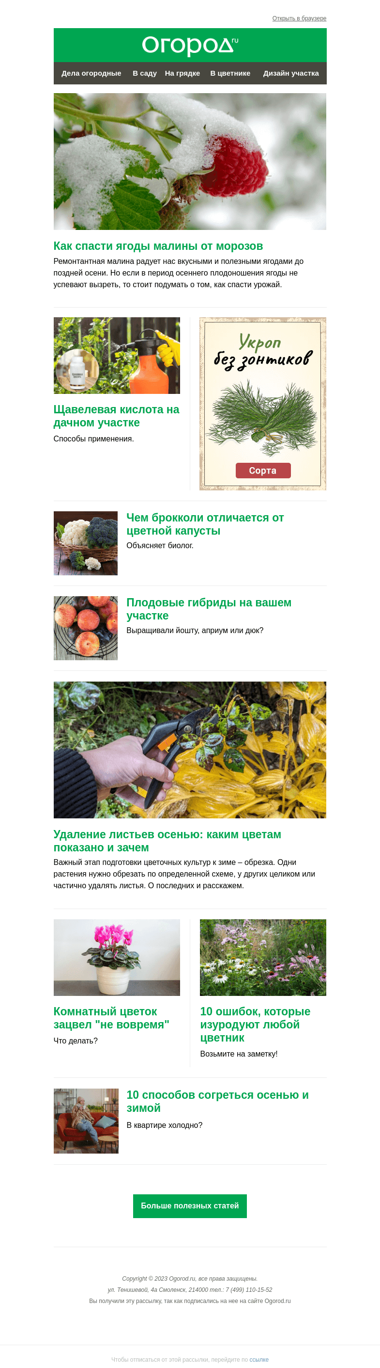 Письмо компании «Огород.ru» на тему «На Огород.ru: спасаем ягоды малины от мороза и обрезаем цветник»