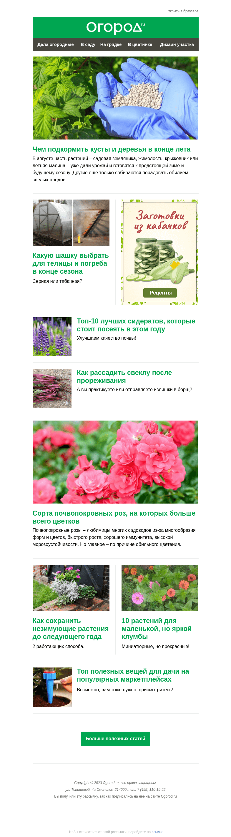 Письмо компании «Огород.ru» на тему «На Огород.ru: выбираем шашку для обработки погреба и сидераты для огорода»