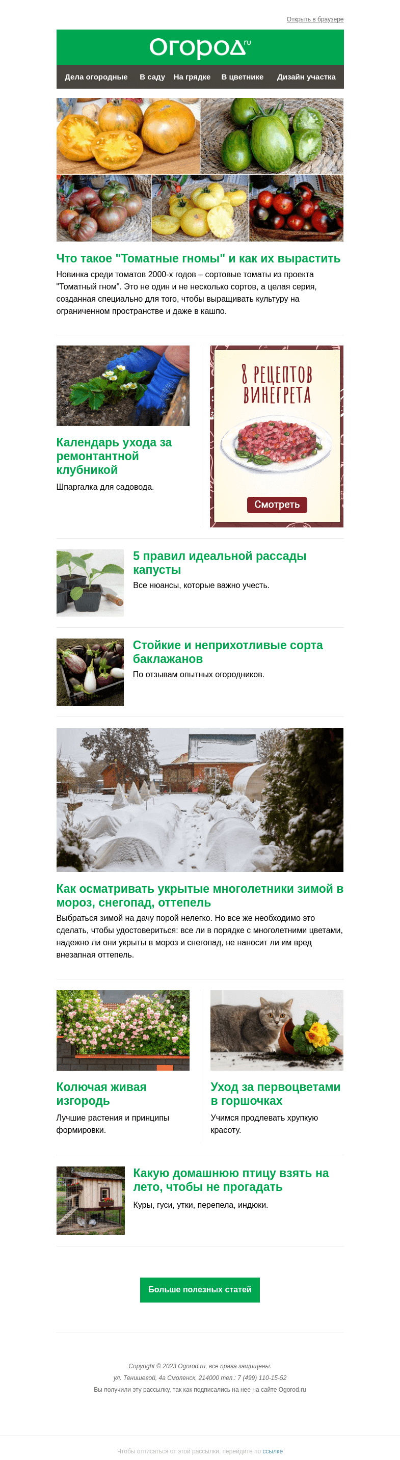Письмо компании «Огород.ru» на тему «На Огород.ru: томатные гномы и зимний осмотр многолетников»