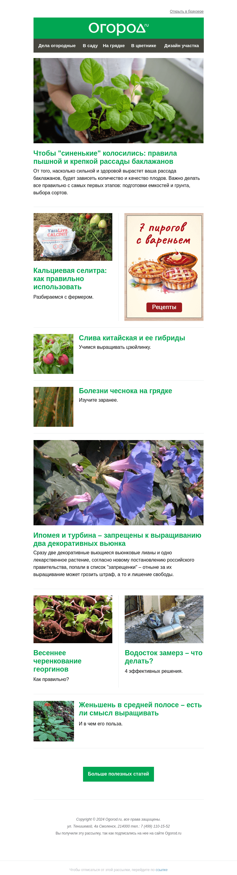 Письмо компании «Огород.ru» на тему «На Огород.ru: крепкая рассада баклажанов и какая ипомея под запретом»