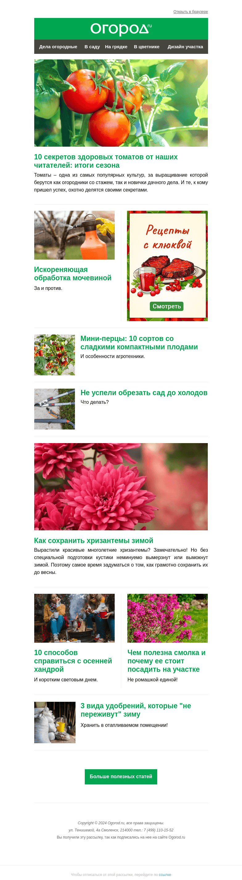 Письмо компании «Огород.ru» на тему «На Огород.ru: обработка сада мочевиной и хризантемы на зиму»