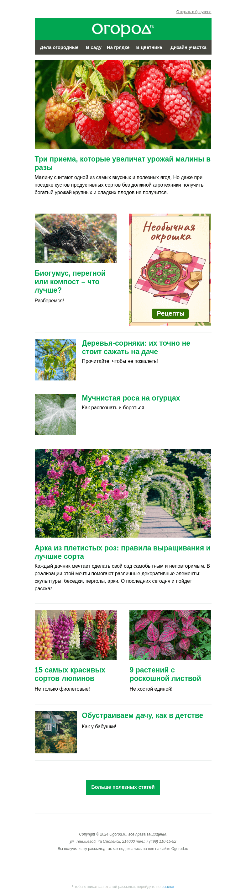 Письмо компании «Огород.ru» на тему «На Огород.ru: деревья-сорняки на даче и приемы для урожайности малины»
