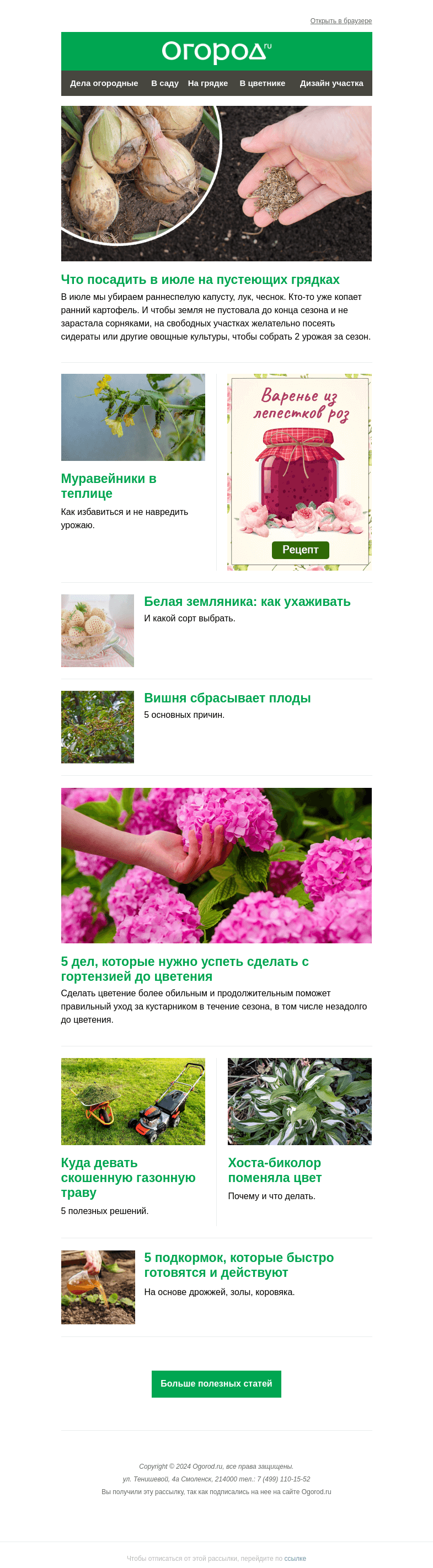 Письмо компании «Огород.ru» на тему «На Огород.ru: что посадить в июле и 5 дел до цветения гортензии»