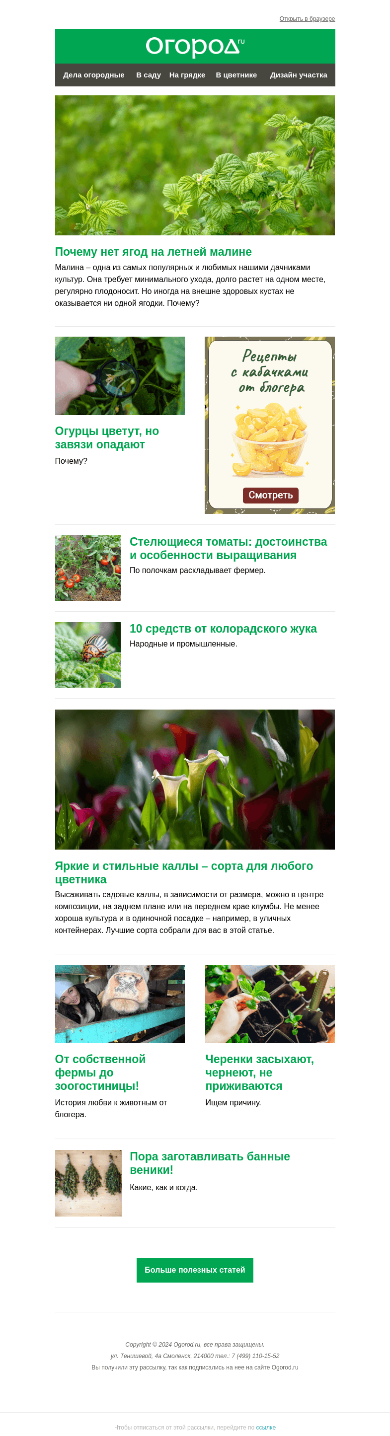 Письмо компании «Огород.ru» на тему «На Огород.ru: почему на малине нет ягод, а у огурцов опадают завязи»
