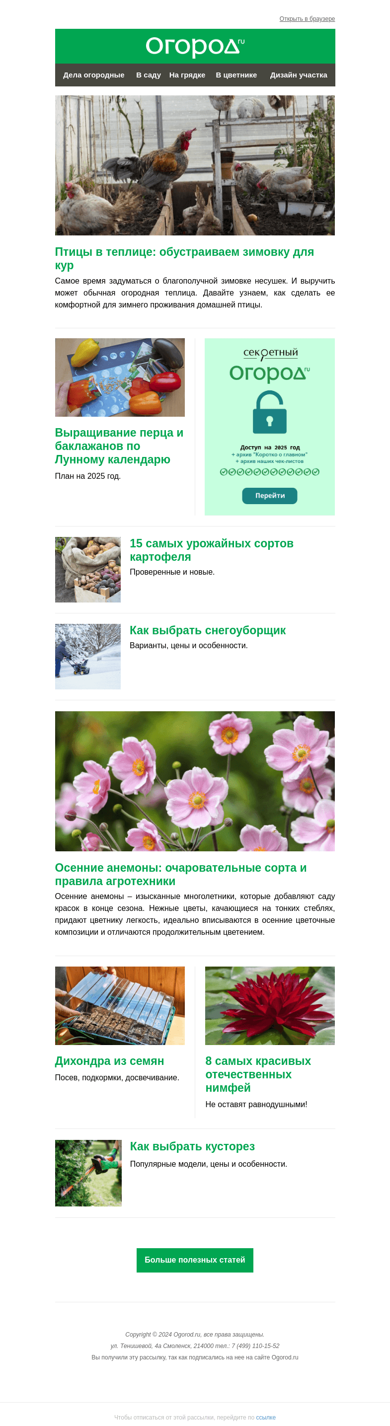 Письмо компании «Огород.ru» на тему «На Огород.ru: дихондра из семян и зимовка кур в теплице»